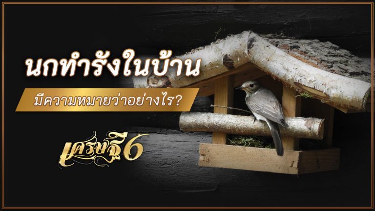 นกทำรังในบ้าน