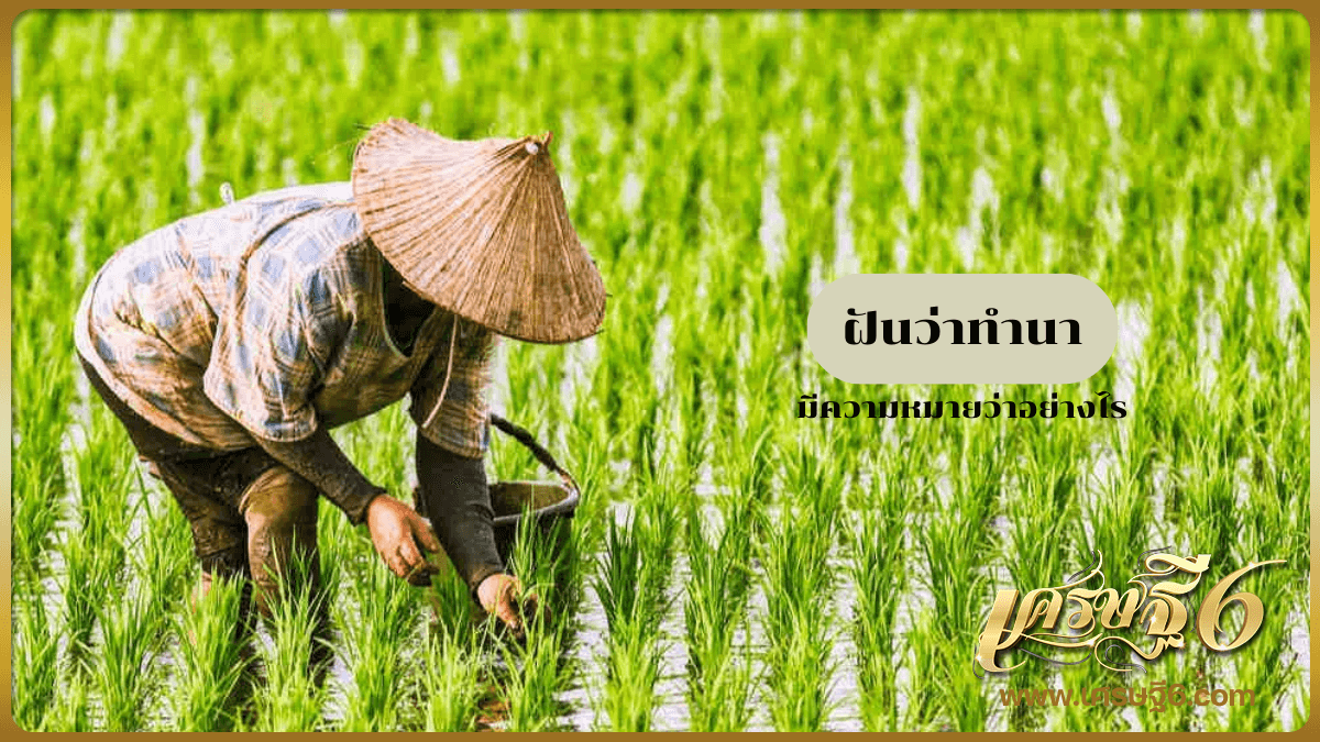 ฝันว่าทำนา
