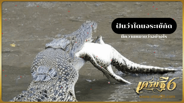 ฝันว่าโดนจระเข้กัด