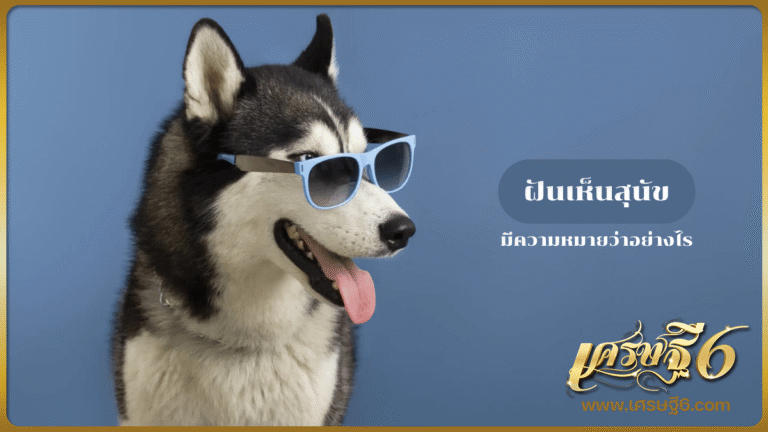 ฝันเห็นสุนัข