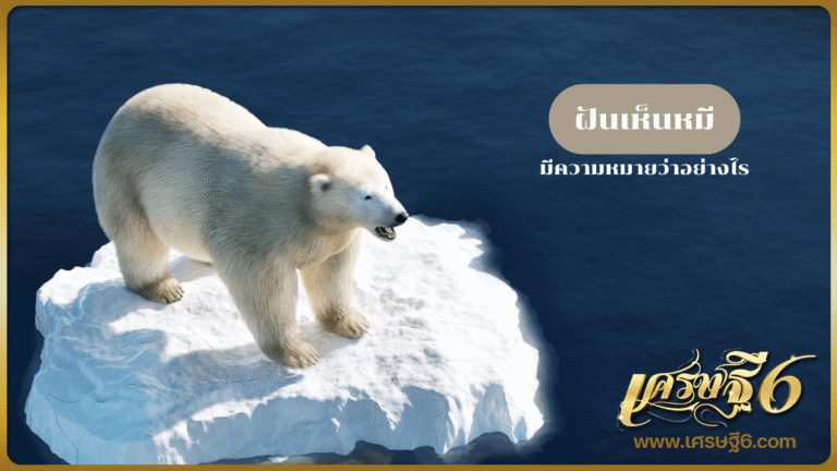 ฝันเห็นหมี