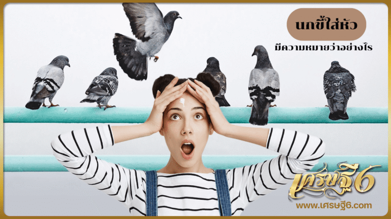 นกขี้ใส่หัว