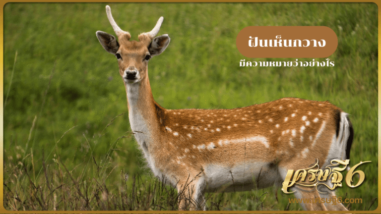 ฝันเห็นกวาง