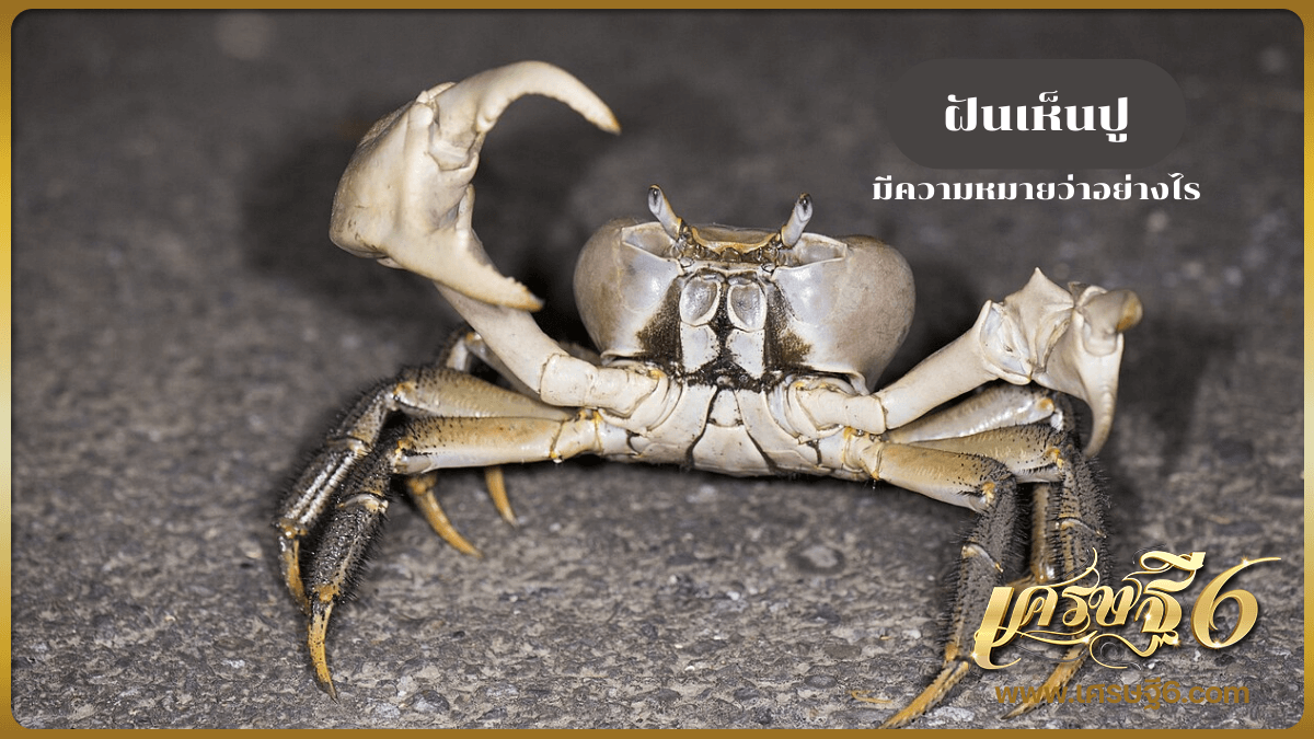 ฝันเห็นปู