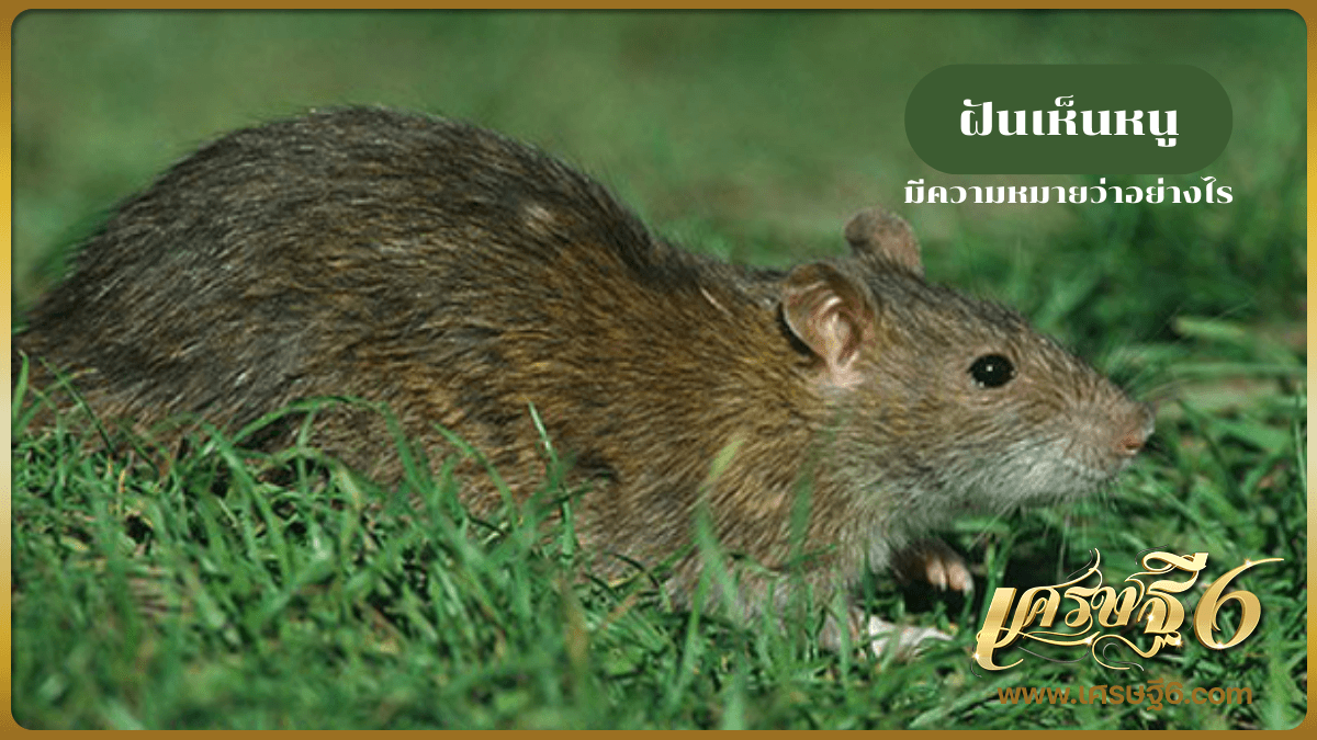 ฝันเห็นหนู