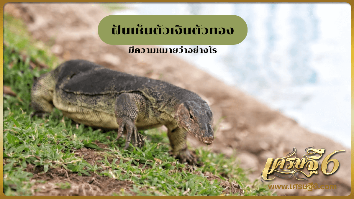 ฝันเห็นตัวเงินตัวทอง