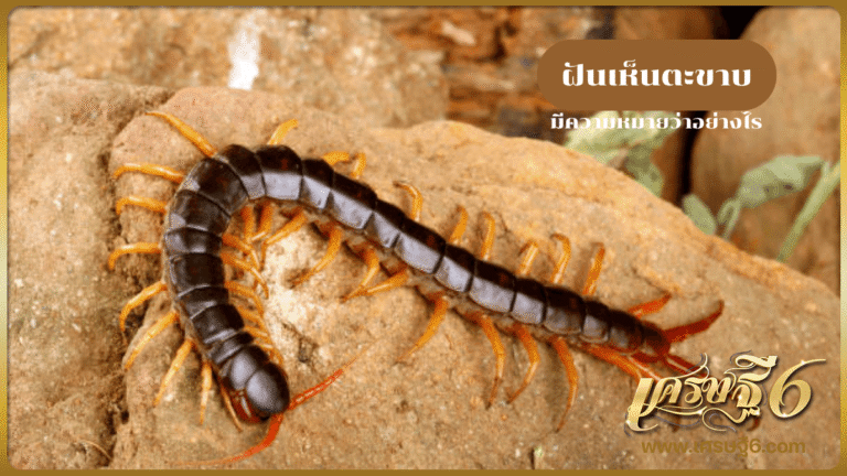 ฝันเห็นตะขาบ