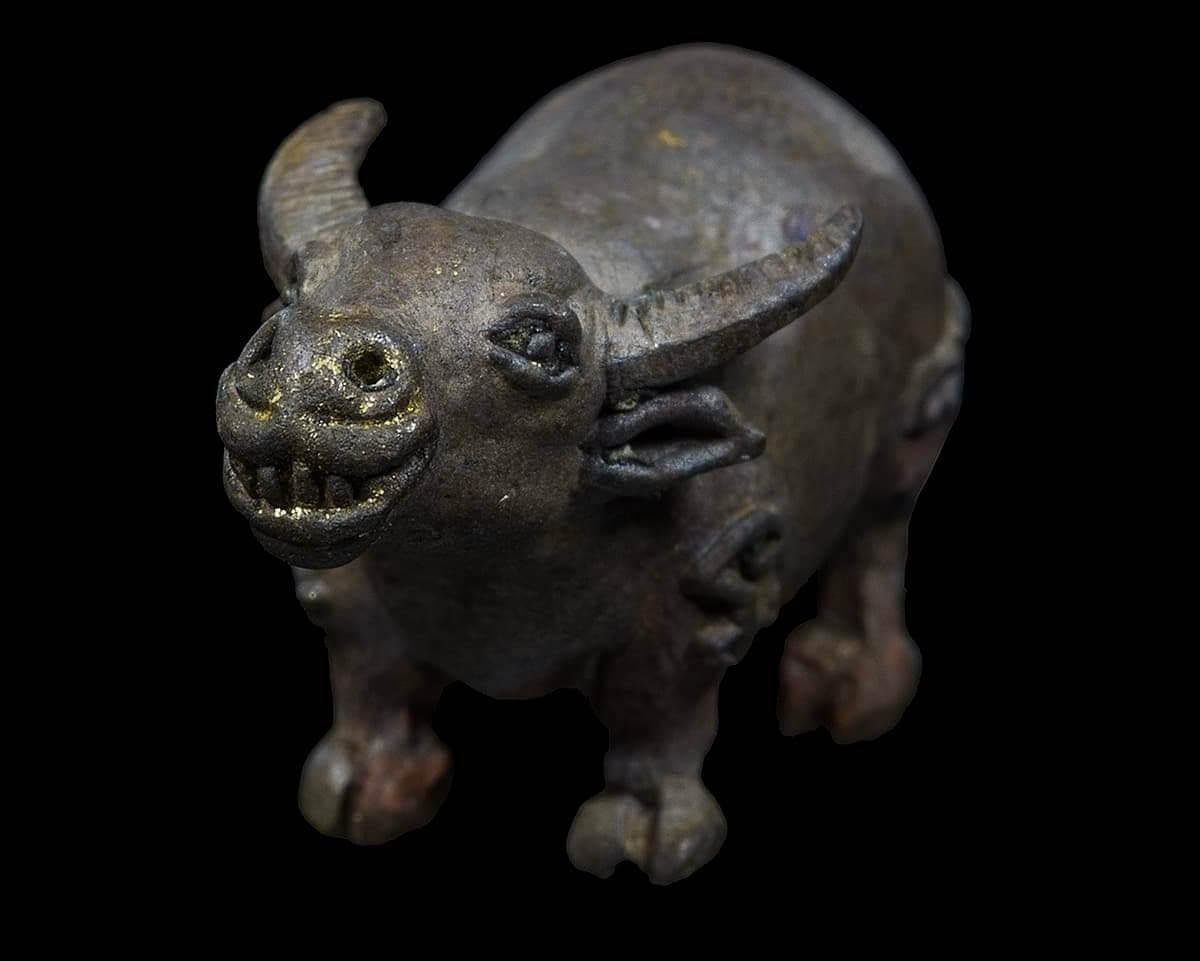 วัวธนู-ควายธนู 