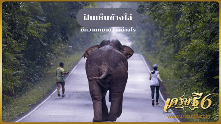 ฝันเห็นช้างไล่