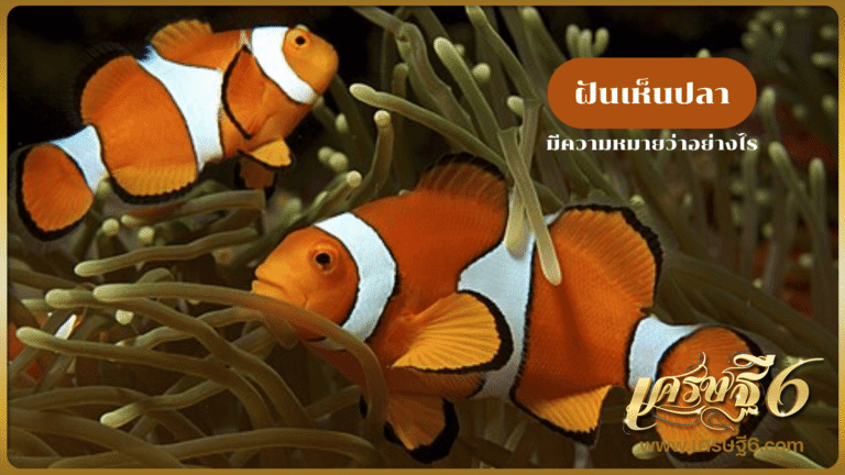 ฝันเห็นปลา